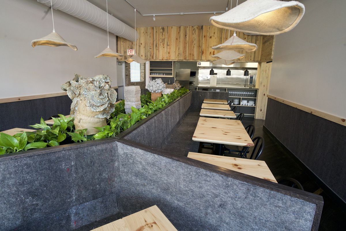 A long, narrow dining room with white walls leads to an open kitchen with a light wood overhead divider between the kitchen and tables. A long gray banquette separates the room into two columns, and two-top light wood tables are arranged along the banquet