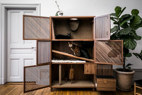 Swedish self-storage company 24Storage launches The Cat Flat