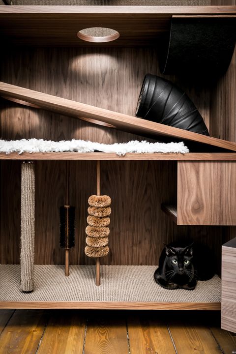 Swedish self-storage company 24Storage launches The Cat Flat