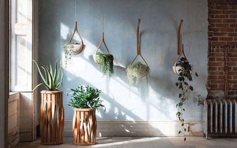 RHS Chelsea Flower Show 2020: Tom Raffield to showcase sustainable steam-bent furniture designs